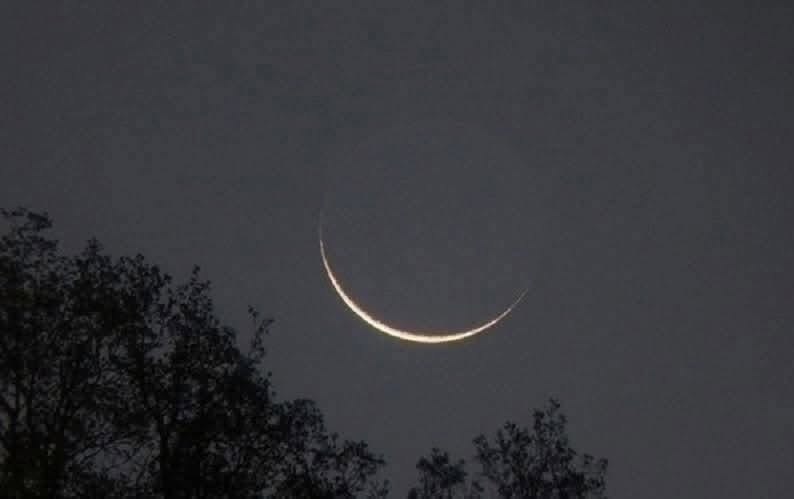 Maouloud 1448 H — Le COSIM et le CODISS annoncent la célébration du 12 Rabioul Awwal en Côte d'Ivoire